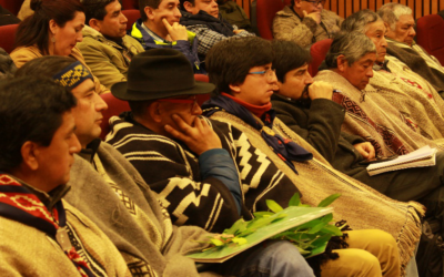 Comunidades mapuche exponen en la última sesión que investiga irregularidades en la compra de tierras mapuche