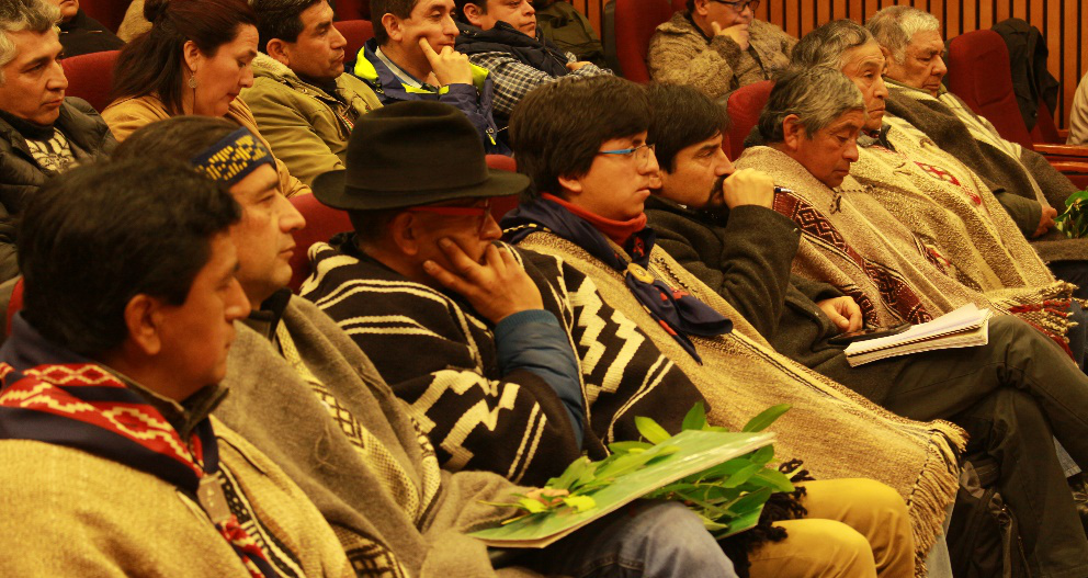 Comunidades mapuche exponen en la última sesión que investiga irregularidades en la compra de tierras mapuche
