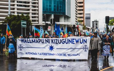 [Comunicado] Representantes mapuche del Meli Witxan Mapu.