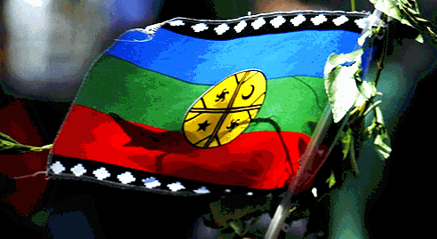 NGULUMAPU: TERRITORIOS MAPUCHE LLAMAN A UN FUTXA KOYAGTUN