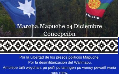 Convocan a Marcha Mapuche en Concepción