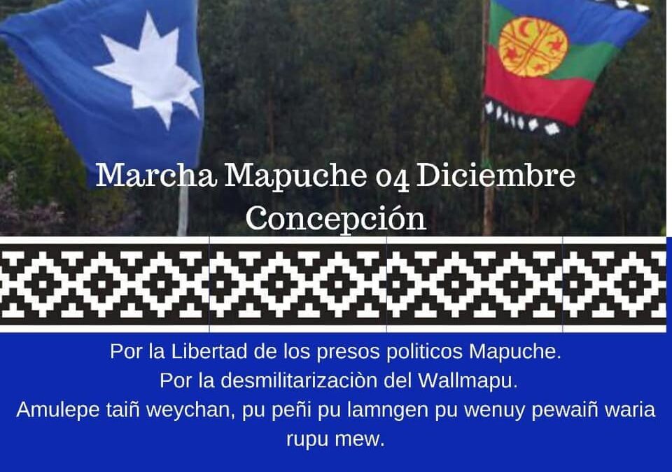 Convocan a Marcha Mapuche en Concepción