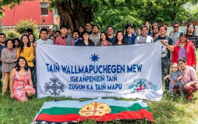 [Video] Trawün Constituyente en Wallmapu y la revitalización del mapuzugun