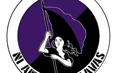 Comunicado del «Círculo Anarcofeminista Ni Amas Ni Esclavas» sobre la revuelta en la región chilena