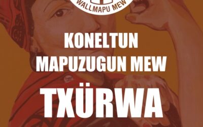 Realizarán internado lingüístico de mapuzugun en Tirúa