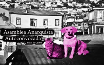 Acción de apoyo mutuo y propaganda callejera de la Asamblea Anarquista de Valparaíso