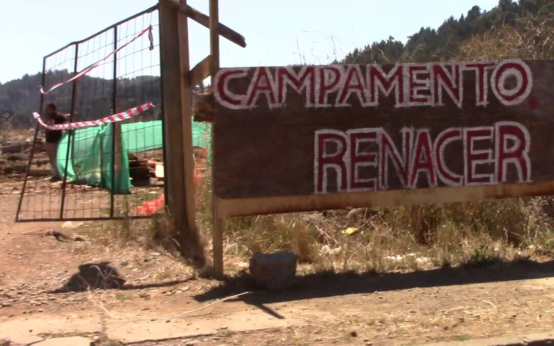 COVID19: Campamentos de Temuko denuncian vulneración de derechos fundamentales y solicitan ayuda a organismos internacionales.