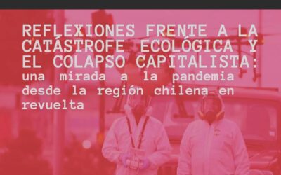 Reflexiones frente a la catástrofe ecológica y el colapso capitalista: una mirada a la pandemia desde la región chilena en revuelta