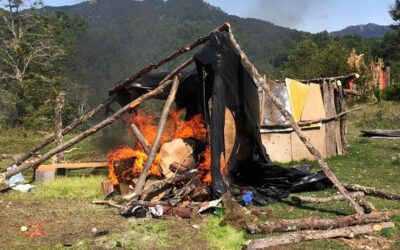 Nuevamente carabineros destruye rukas mapuche en Lof Adkintue Lonquimay