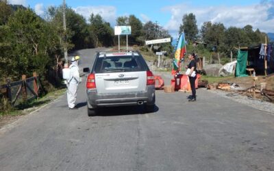 El control territorial de las comunidades mapuche del Lago Maihue para defenderse del COVID-19