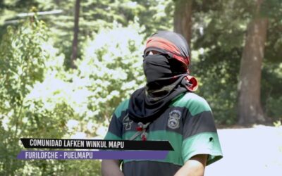 [Video] Puelmapu – «Lof Lafken Winkul Mapu, del genocidio al levantamiento de las nuevas generaciones mapuche»