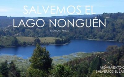[Concepción] La dramática situación del Lago Nonguén