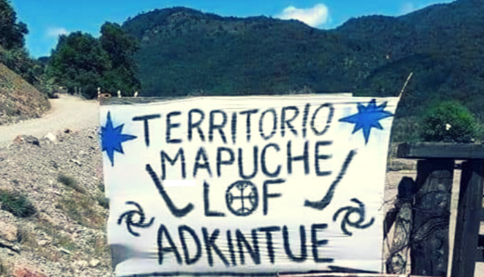 La Resistencia del Lof Adkintue: reivindicación territorial enfrentada a los intereses mineros