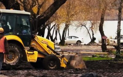 Denuncian destrucción de humedales en Lago Villarrica