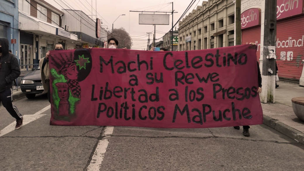 Declaración de Médicos frente a la situación de los presos políticos Mapuche en huelga de hambre.