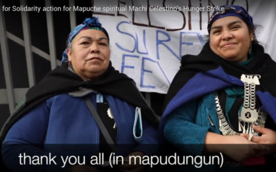[Video] Call for Solidarity actions and  visibility actions from Mapuche spiritual leader’s spokeswomxn