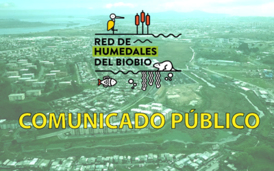 Comunicado de la Red de Humedales de Biobío ante la 14° modificación del Plan Regulador de Concepción