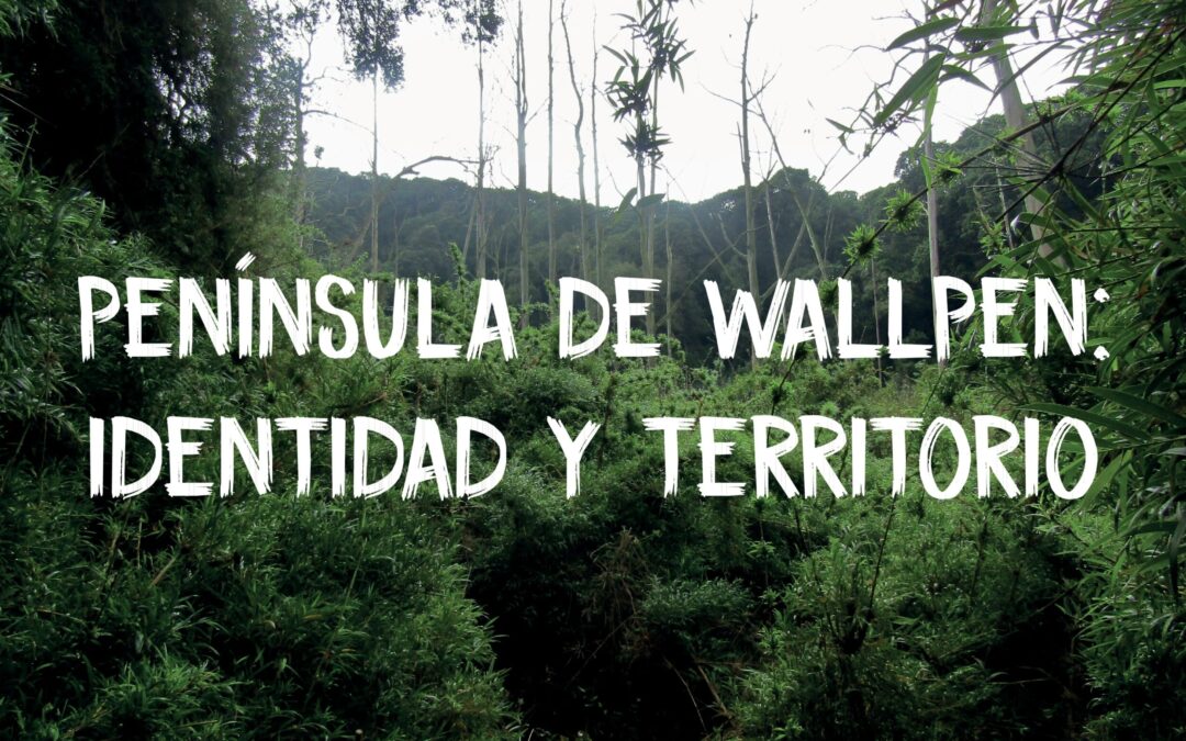 Lanzan libro «Península de Wallpen: Identidad y territorio»