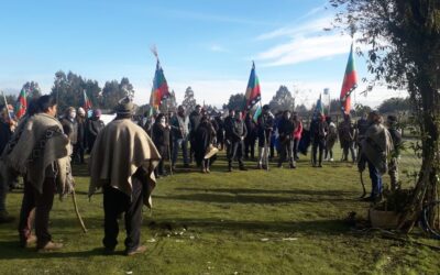 Nueva Imperial: Comunidades mapuche realizan gran caravana contra instalación de línea de alta tensión