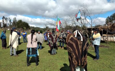 [Comunicado] Pu Logko de Karawe invalidan reunión de Piñera con «Pseudo Logko Mapuche»