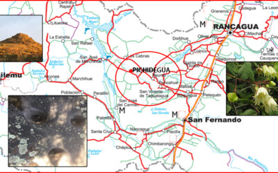 Comuna de Pichidegua, territorio indígena de alto interés Mapuche-Pikunche