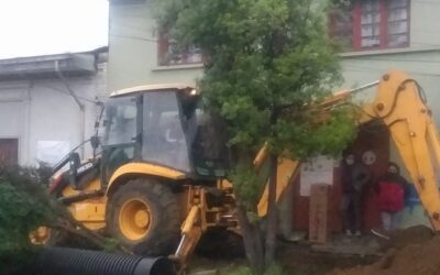 Declaran admisible recurso de protección para evitar tala de árboles en calle Blanco