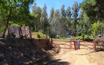 [Comunicado] Comunidad tradicional Juan José Ayenao inicia recuperación histórica en fundo Buena Vista