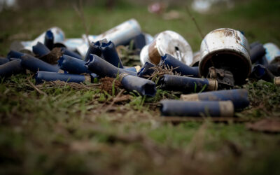 Hoy a las 17.00 hrs. 4° Programa Radio Cidsur: Tejiendo redes desde Wallmapu.