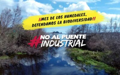 [Concepción] «Defendamos la biodiversidad»: organizan Mes de los Humedales