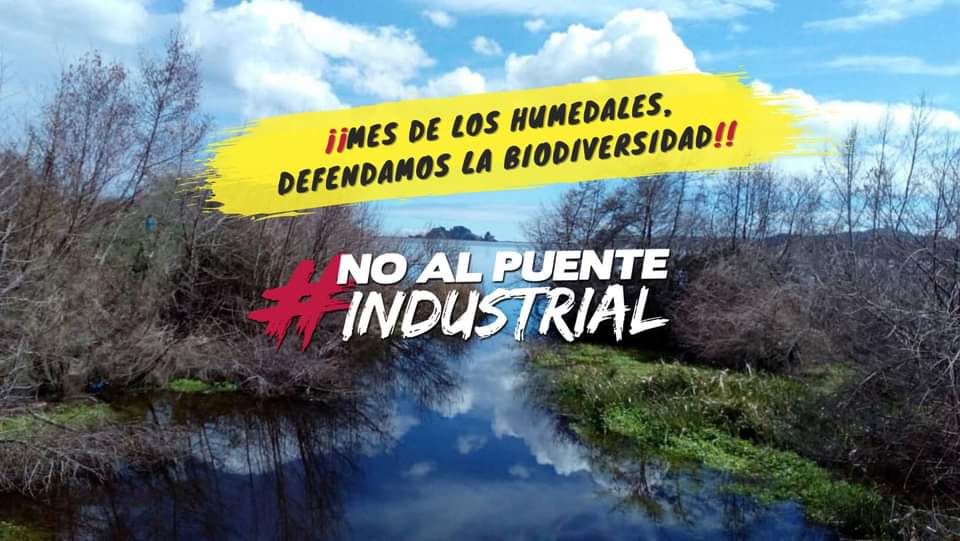 [Concepción] «Defendamos la biodiversidad»: organizan Mes de los Humedales