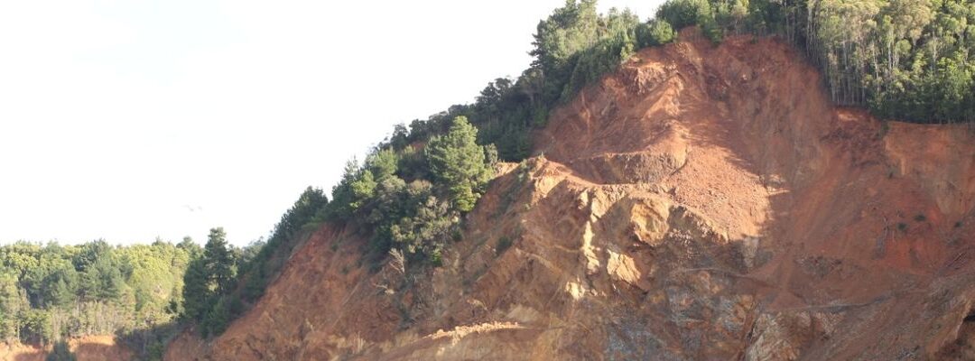 Crimen ambiental en Talcahuano: Empresa destruyó playas en península de Tumbes