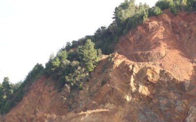 Crimen ambiental en Talcahuano: Empresa destruyó playas en península de Tumbes