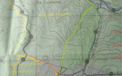Detienen faenas inmobiliarias en Curiñanco ante irregularidades en el proceso