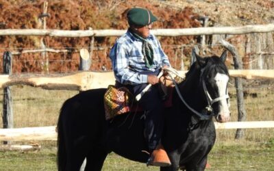 [Comunicado]Lof Pedro Currilem del territorio pewenche de Lonquimay, los hijos e hijas, nietos y nietas del lonco Romero