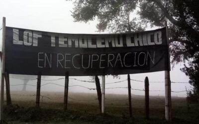 Autonomía y control territorial. Enfrentamientos entre fuerzas mapuche y policias en Temulemu Chico