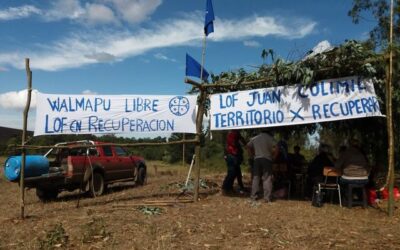 Nueva Imperial: Comunidad Juan Colimil Lof Codiwe Likanko inicia recuperación territorial en fundo Buenos Aires