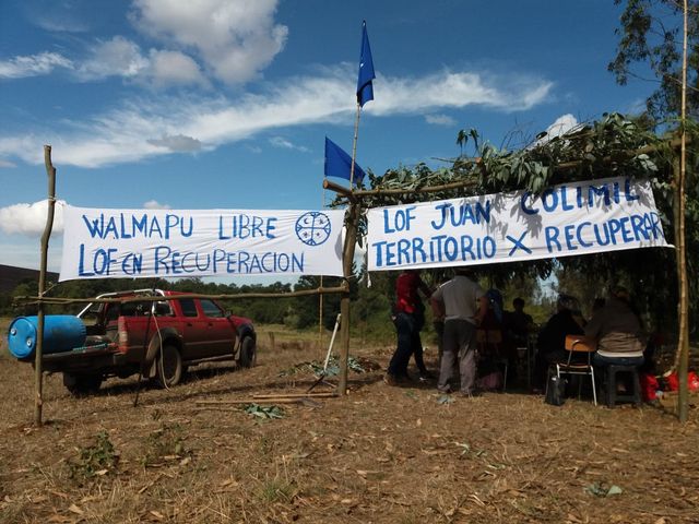 Nueva Imperial: Comunidad Juan Colimil Lof Codiwe Likanko inicia recuperación territorial en fundo Buenos Aires