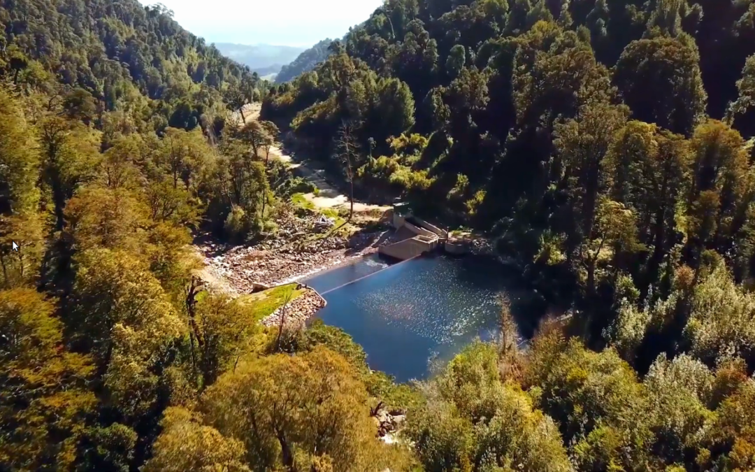 Futrono-Futawillimapu: Alianza Puelwillimapu denuncia destrucción de Río Quiman por central hidroeléctrica Las Flores S.A.