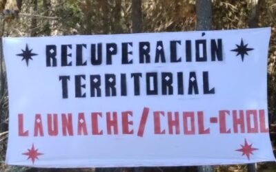 Cholchol: Comunidad Domingo Colín-Huenul Llancal inicia recuperación territorial en Fundo Parra y terrenos fiscales