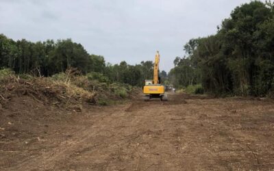 Lautaro: Empresa constructora destruye Humedal Pumalal