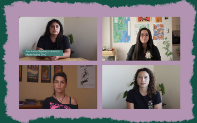 [Video] «Nos sentimos postergadas» Segundo monitoreo social a la ley de aborto en tres causales y el acceso a salud sexual y reproductiva en pandemia