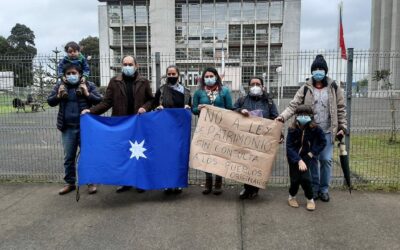 Tribunales de justicia de Temuco y Corte Suprema reiteran pronunciamientos discriminatorios contra el pueblo mapuche, relativos al Proyecto de Ley sobre Patrimonio