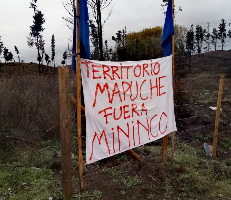 Trawün Mapuche Lavkenche reafirma recuperación territorial de la comunidad Juan Lincopan en fundo Ranquilhue