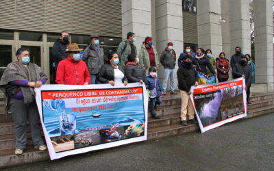 Comunidades Mapuche y urbanas presentan recurso de protección por contaminación del Estero Perquenco y abandono en tratamiento de aguas servidas