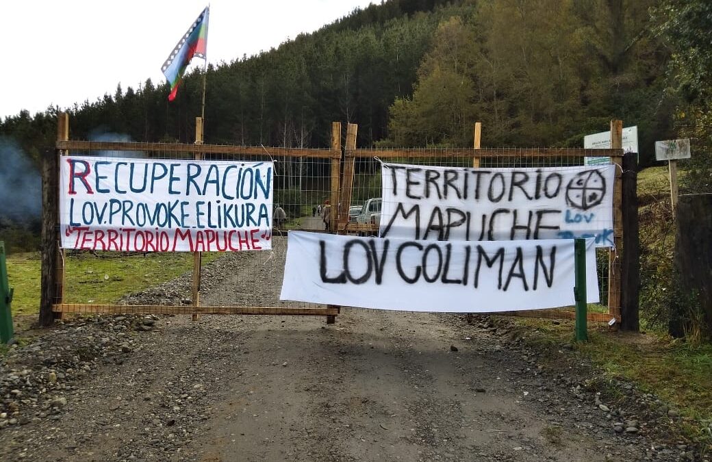 [Comunicado] Lov Provoque y Lov Coliman del territorio lavkenche Elicura inician recuperación territorial