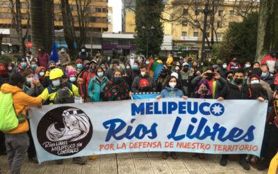 Concentración por el río Truful Truful: Comunidades Mapuche y organizaciones interpelan a ministra de medio ambiente Carolina Schmidt