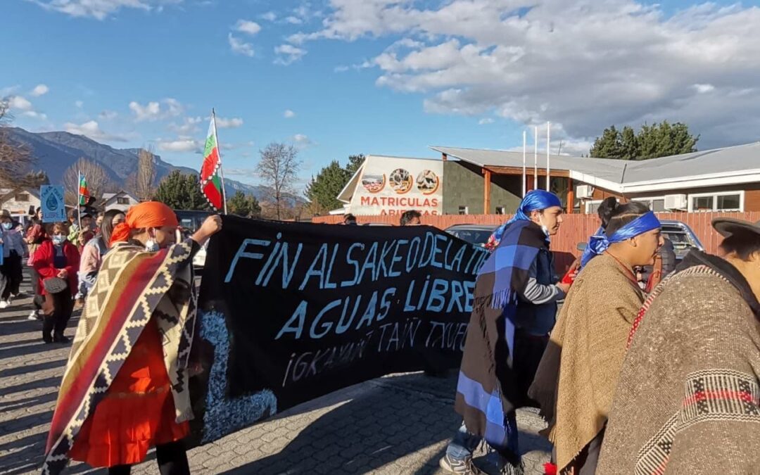 Melipeuco: Masiva marcha en defensa del río Truful Truful