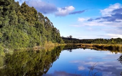 Ciencia comunitaria: las prácticas vecinales por la defensa del Humedal Laguna Junquillar