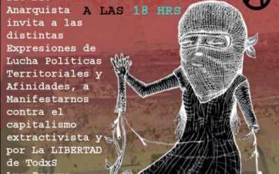 [Concepción] Convocan a marcha por la libertad y contra el extractivismo