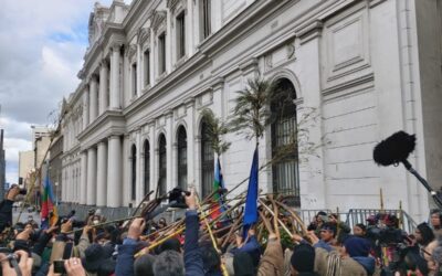 Convención Constituyente niega el acceso a autoridades del pueblo Mapuche